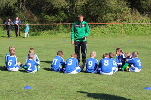 开云体育 kaiyun sports-中国篮球教练员战术创新能力培养及培训机制探讨，篮球教练员素养