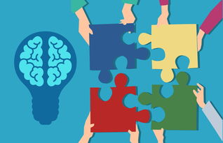 kaiyun sports-中小学课程内容创新，中小学创新教育